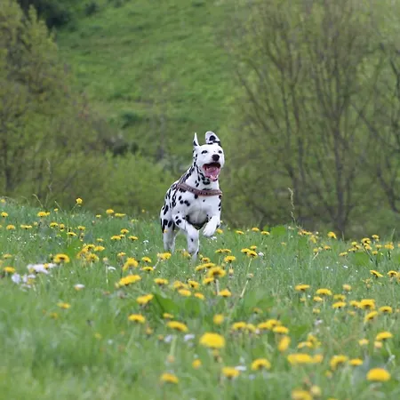 Auf Der Hilkenhoehe Iserlohn